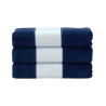 French Navy